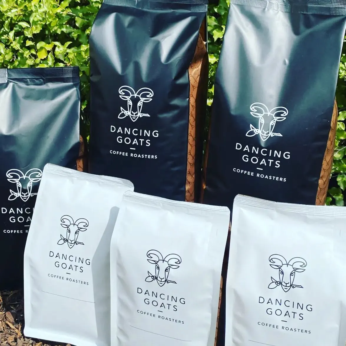 Bags of Dancing Goats coffee beans
